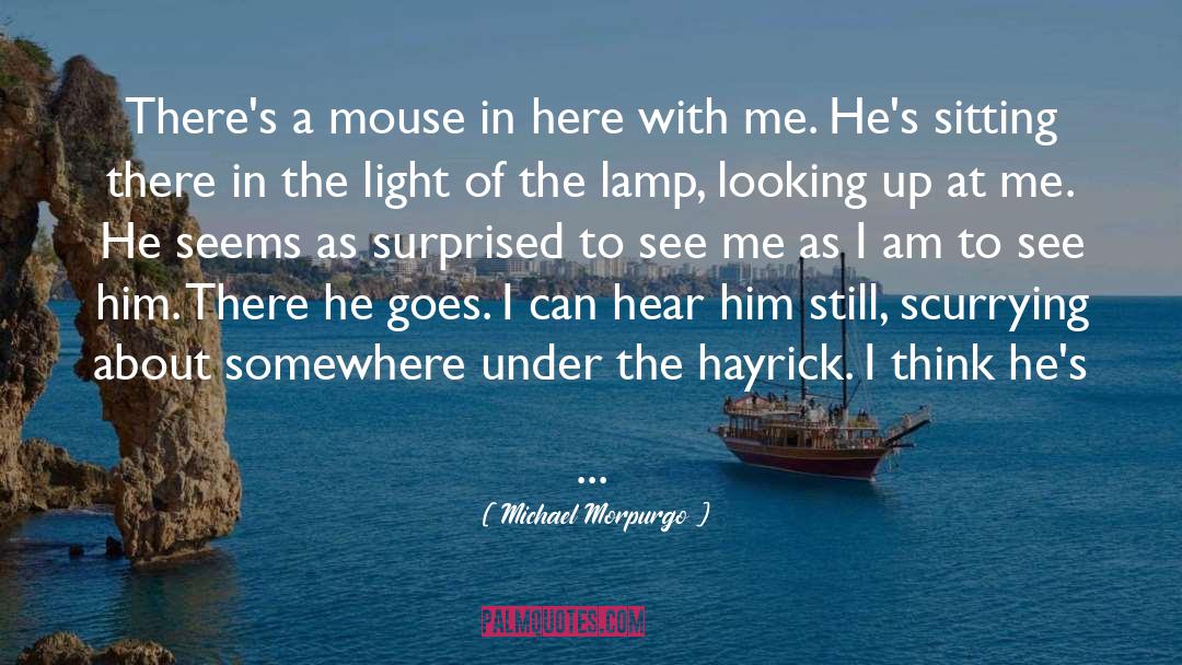 Aladdins Lamp quotes by Michael Morpurgo