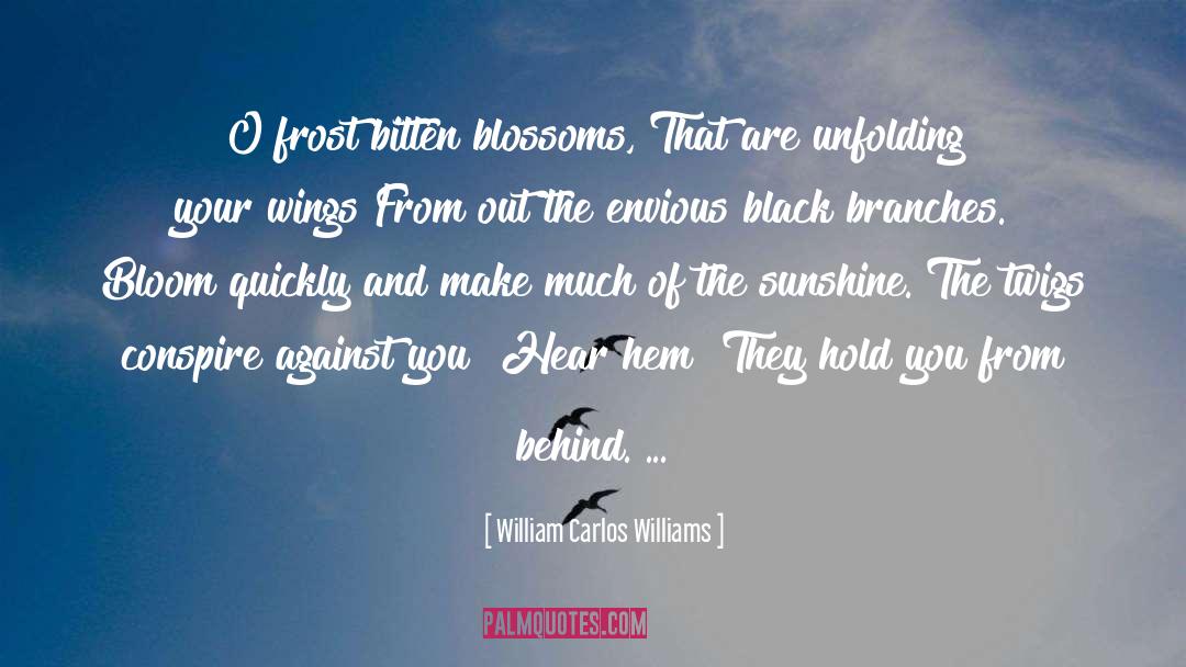 Alan Bloom quotes by William Carlos Williams