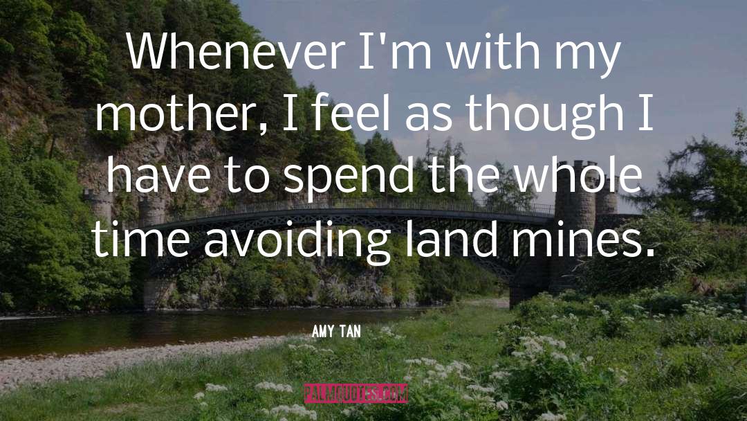 Alan Sheinwald quotes by Amy Tan