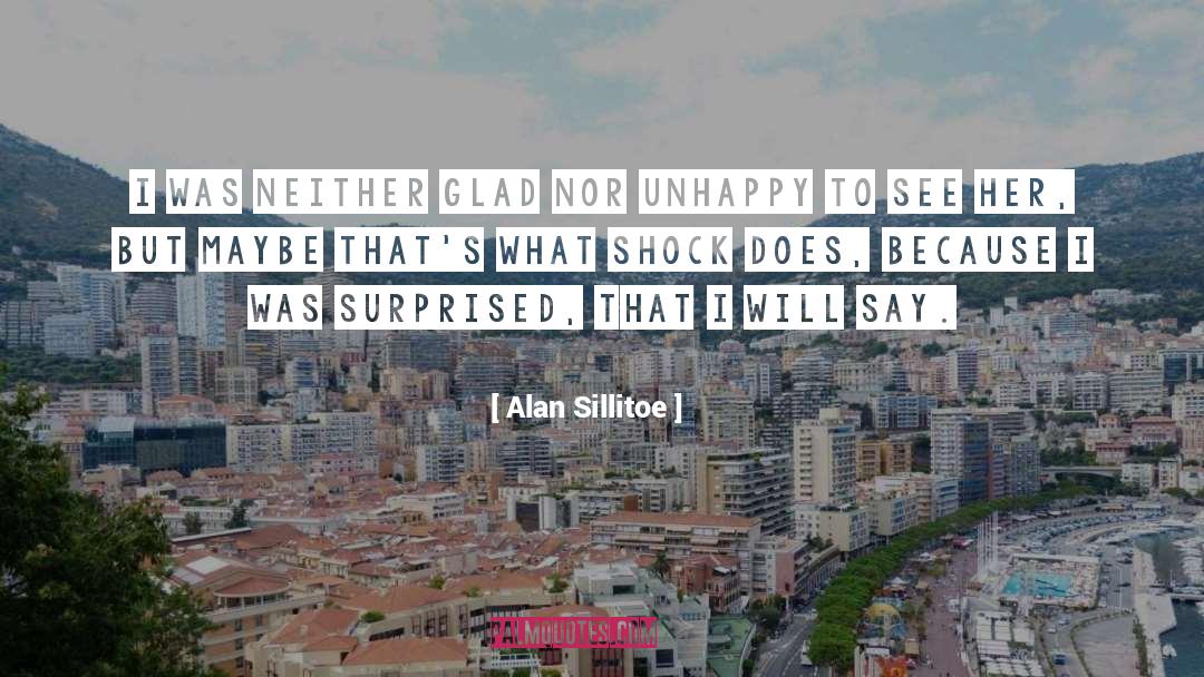 Alan Sillitoe quotes by Alan Sillitoe