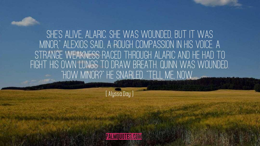 Alaric quotes by Alyssa Day