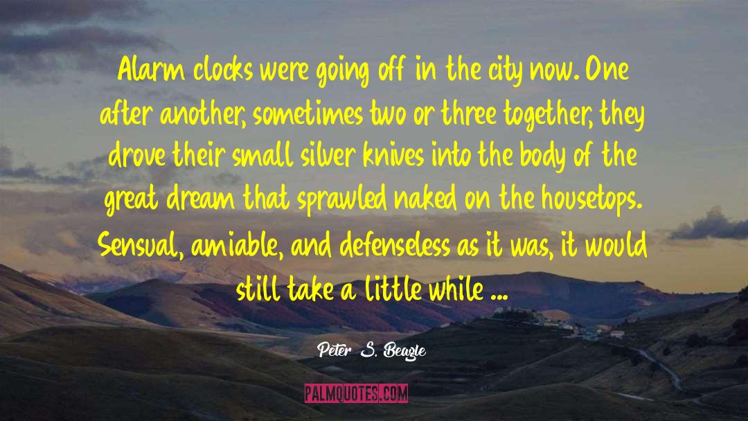 Alarm Clocks quotes by Peter S. Beagle