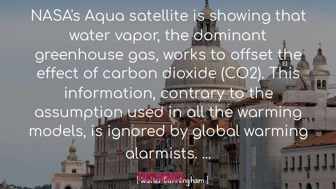 Alarmists quotes by Walter Cunningham