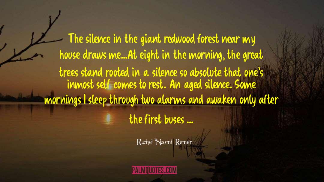 Alarms quotes by Rachel Naomi Remen