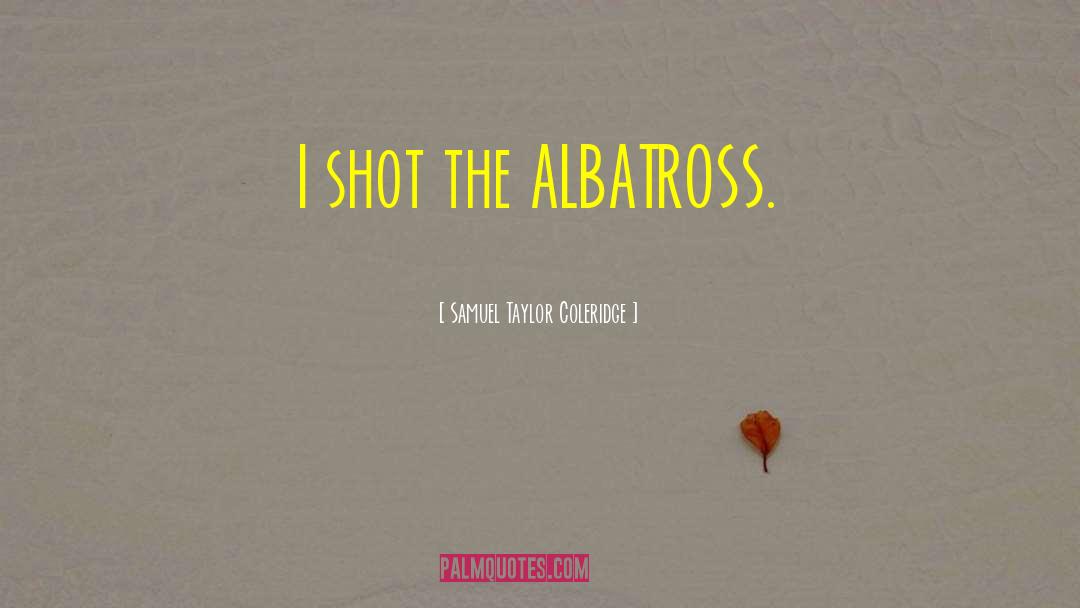 Albatross quotes by Samuel Taylor Coleridge