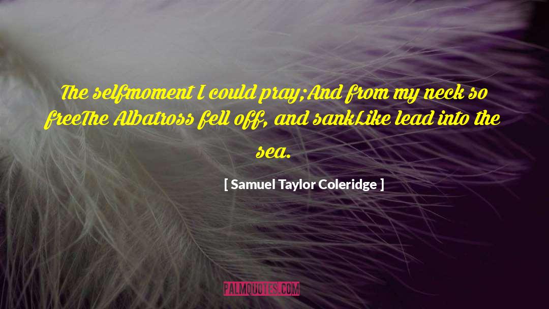 Albatross quotes by Samuel Taylor Coleridge
