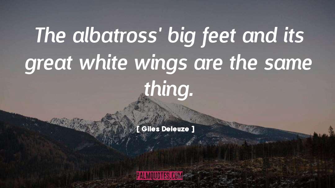 Albatross quotes by Giles Deleuze