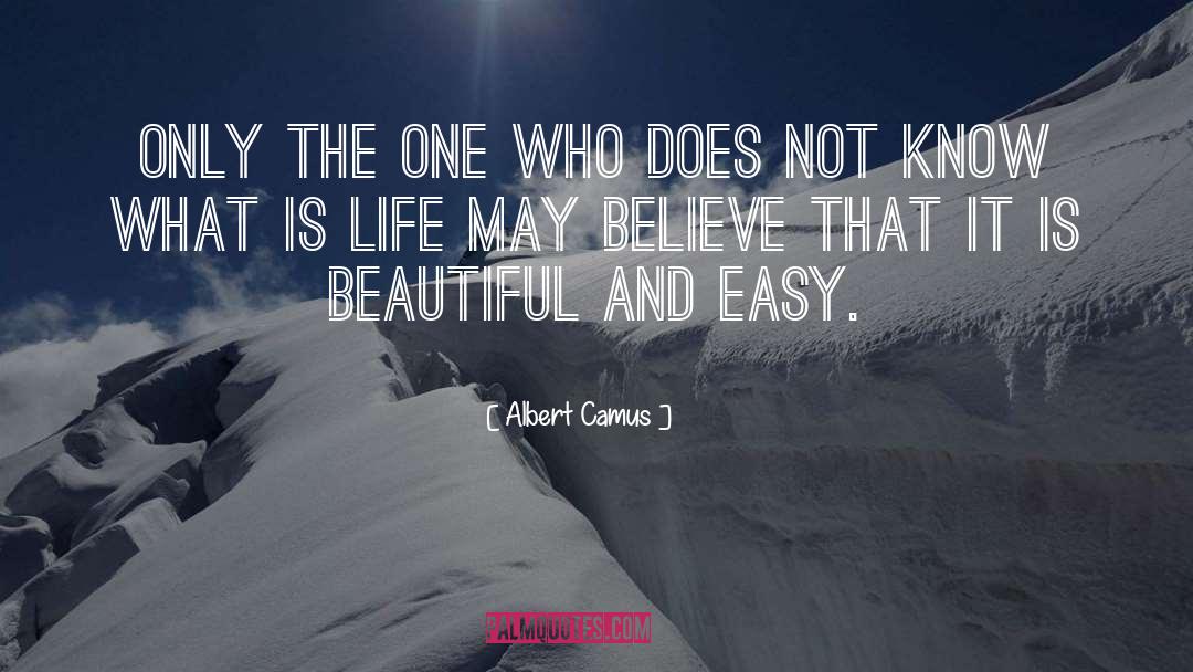 Albert Campion quotes by Albert Camus