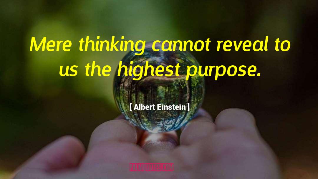 Albert Hillsborough quotes by Albert Einstein