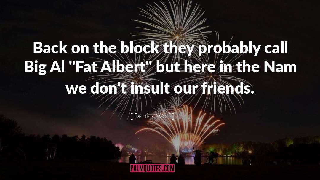 Albert quotes by Derrick Wolf