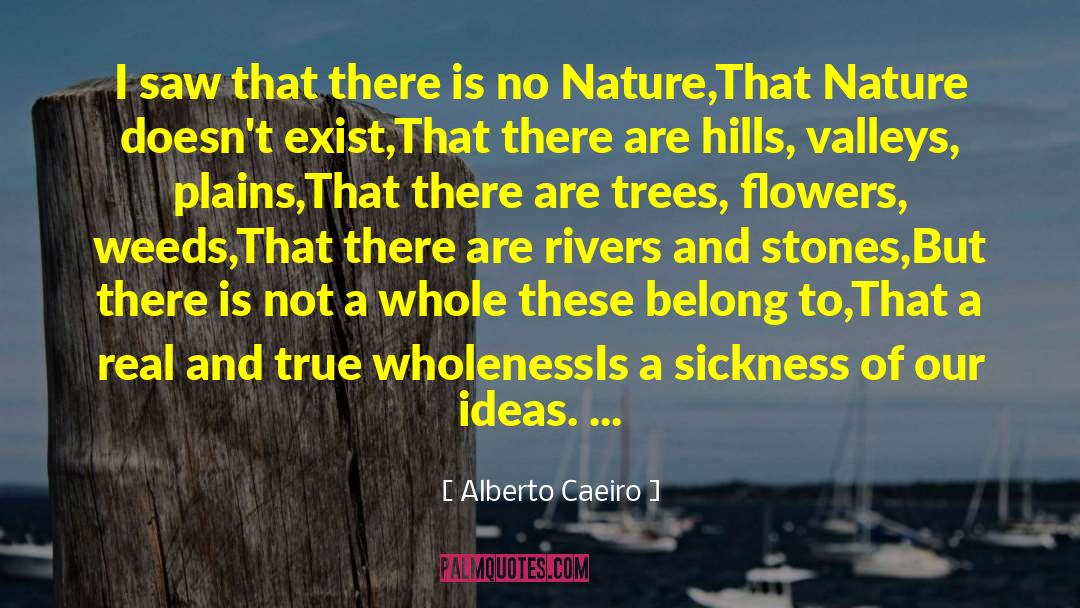 Alberto Caeiro quotes by Alberto Caeiro