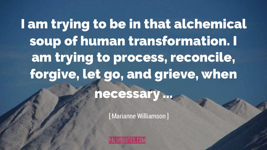 Alchemical Hydrix quotes by Marianne Williamson