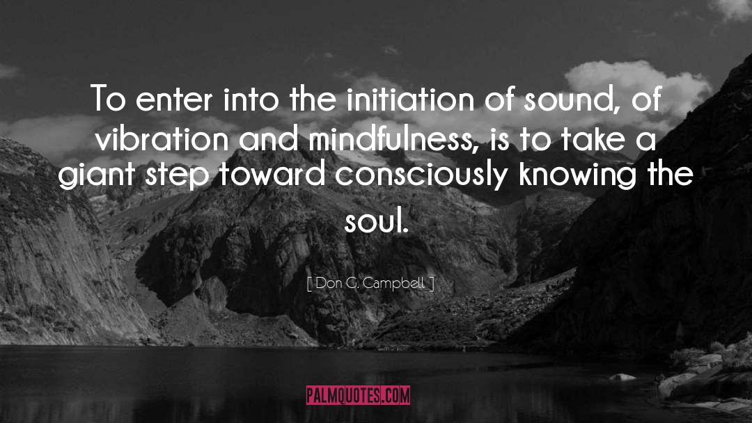 Alchemy Of Soul quotes by Don G. Campbell