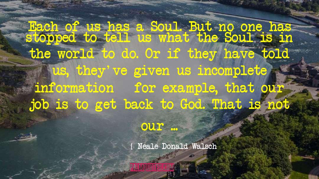 Alchemy Of Soul quotes by Neale Donald Walsch