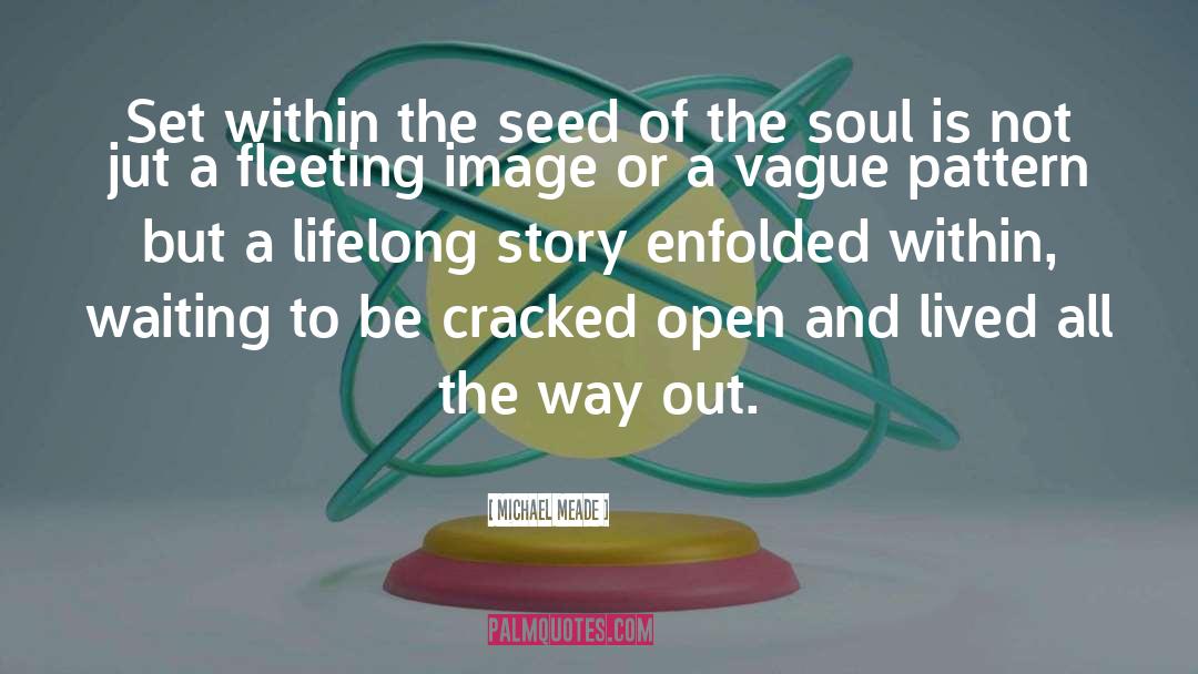 Alchemy Of The Soul quotes by Michael Meade