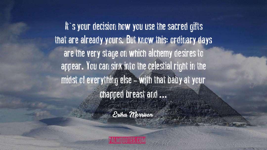 Alchemy quotes by Erika Morrison