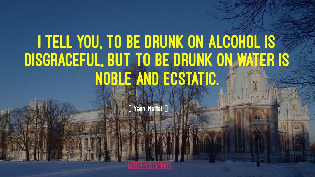 Alcohol Abuse quotes by Yann Martel