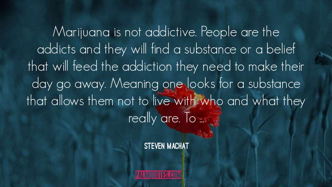 Alcohol Addiction quotes by Steven Machat