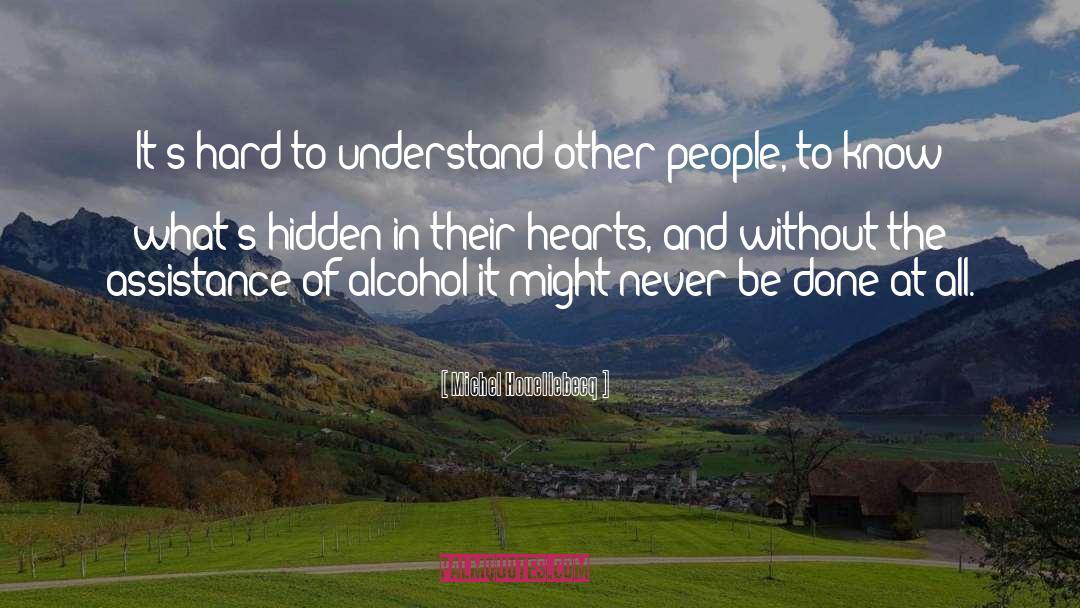 Alcohol quotes by Michel Houellebecq