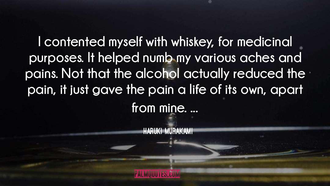 Alcohol Rehab quotes by Haruki Murakami