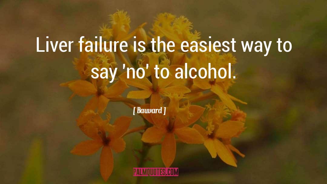 Alcoholism Funny quotes by Bauvard