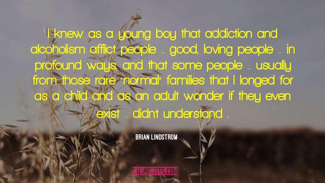 Alcoholism quotes by Brian Lindstrom