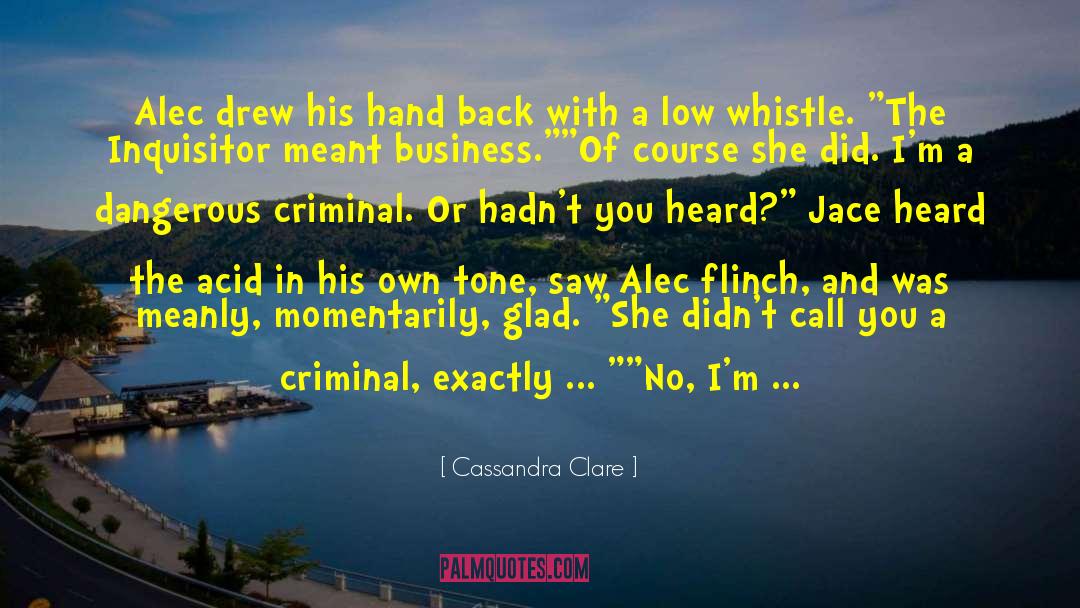 Alec And Jace quotes by Cassandra Clare