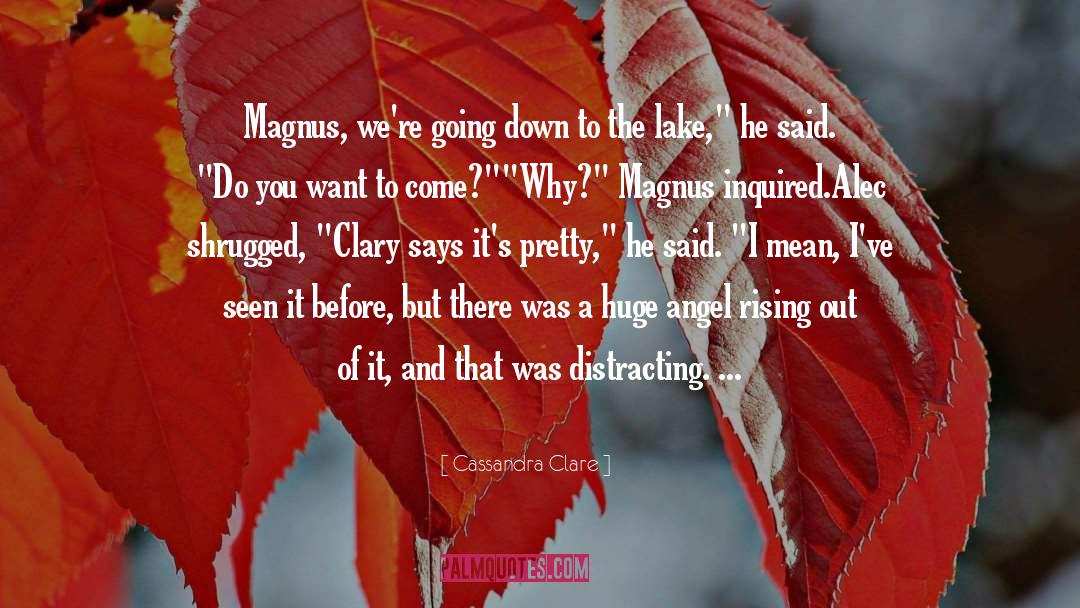 Alec Hardison quotes by Cassandra Clare