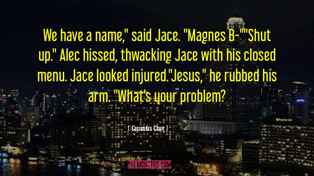 Alec Lightwood Jace Herondale quotes by Cassandra Clare