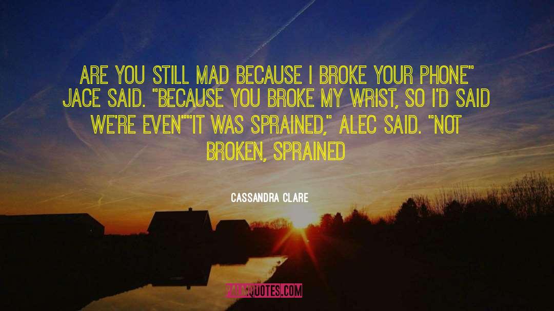 Alec Lightwood Jace Herondale quotes by Cassandra Clare