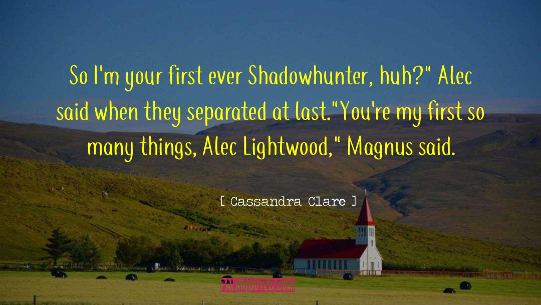 Alec Lightwood Magnus Bane quotes by Cassandra Clare