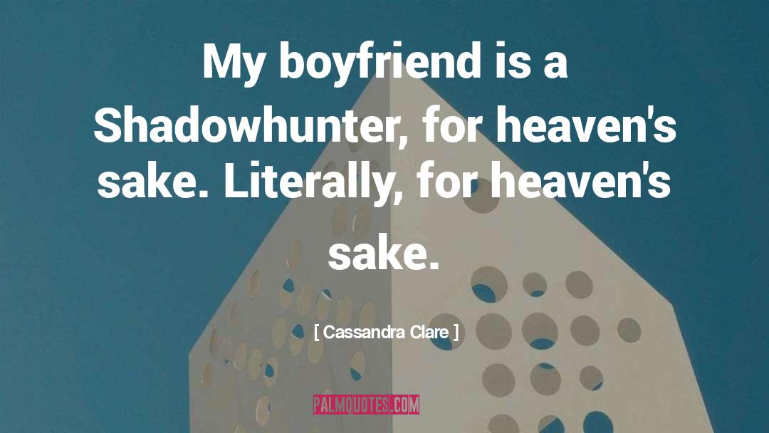 Alec Lightwood Magnus Bane quotes by Cassandra Clare