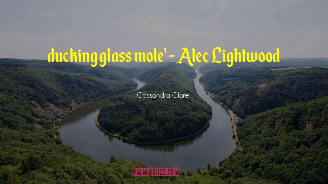 Alec Lightwood quotes by Cassandra Clare