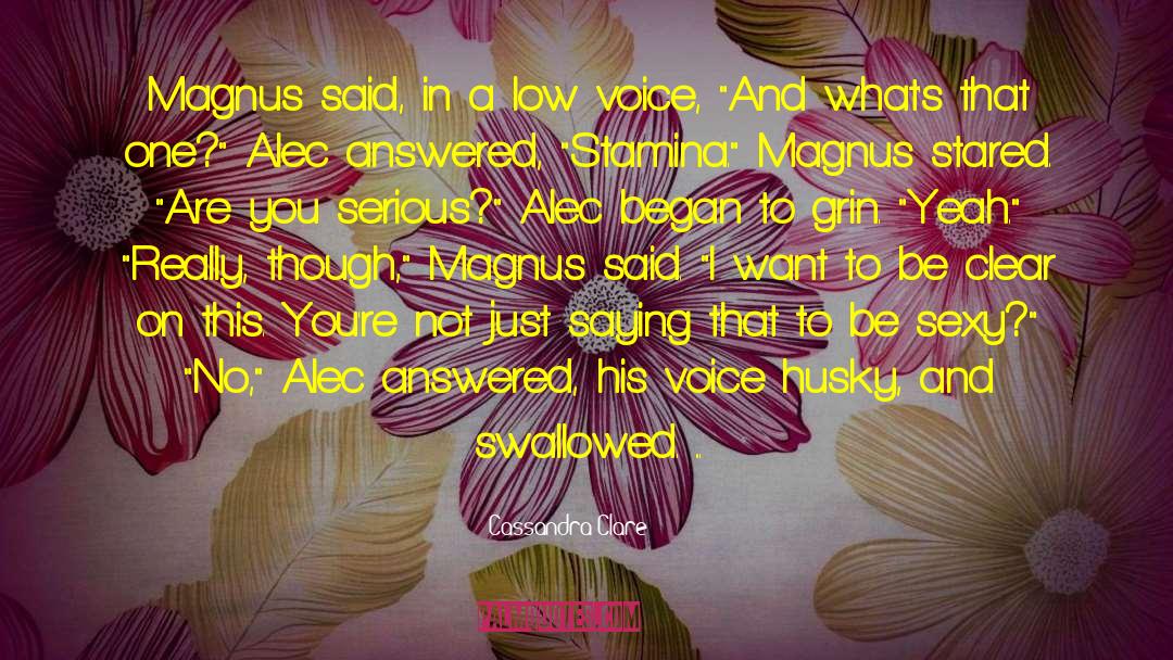 Alec Lightwood quotes by Cassandra Clare