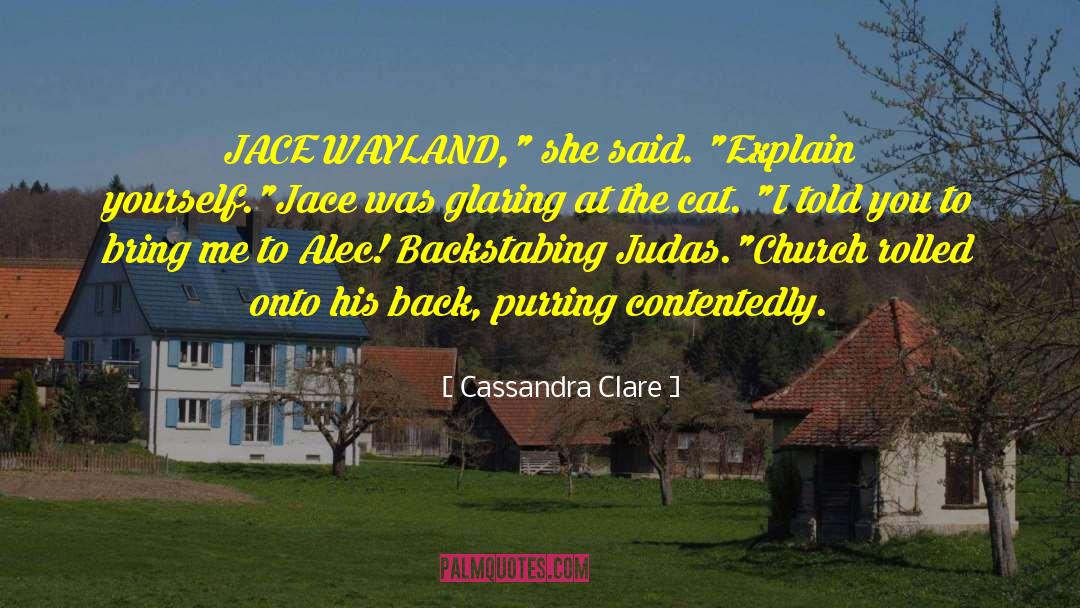 Alec Scudder quotes by Cassandra Clare