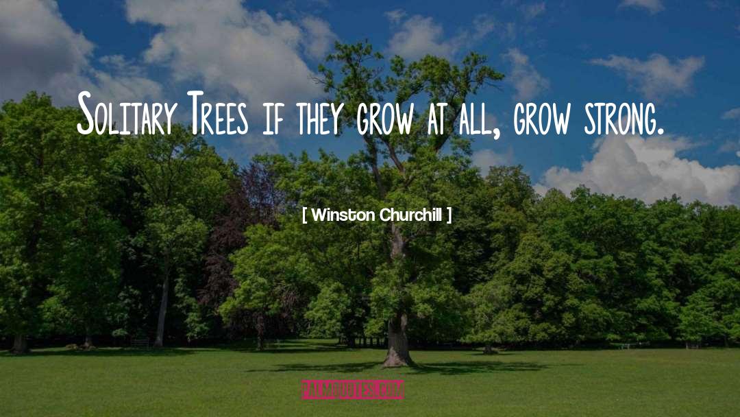 Alegre Grow quotes by Winston Churchill