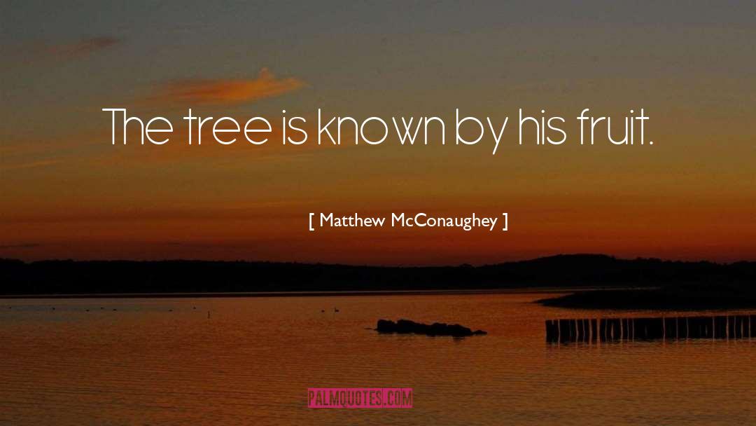 Alejandre Tree quotes by Matthew McConaughey