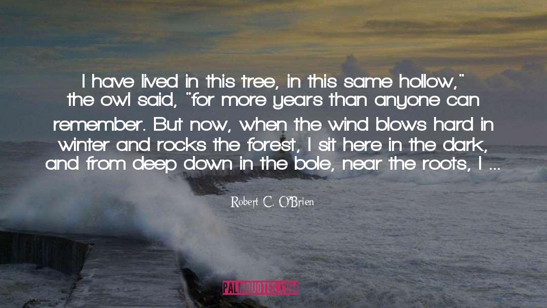 Alejandre Tree quotes by Robert C. O'Brien