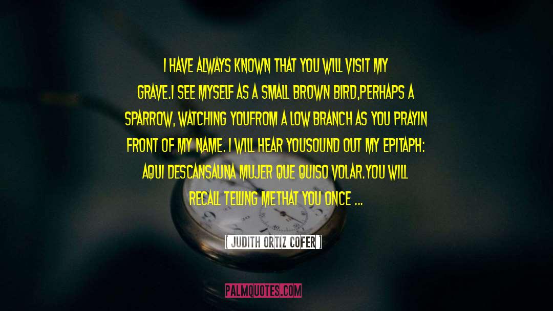 Alejar A Una quotes by Judith Ortiz Cofer