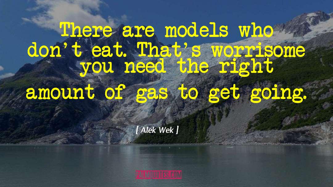 Alek quotes by Alek Wek