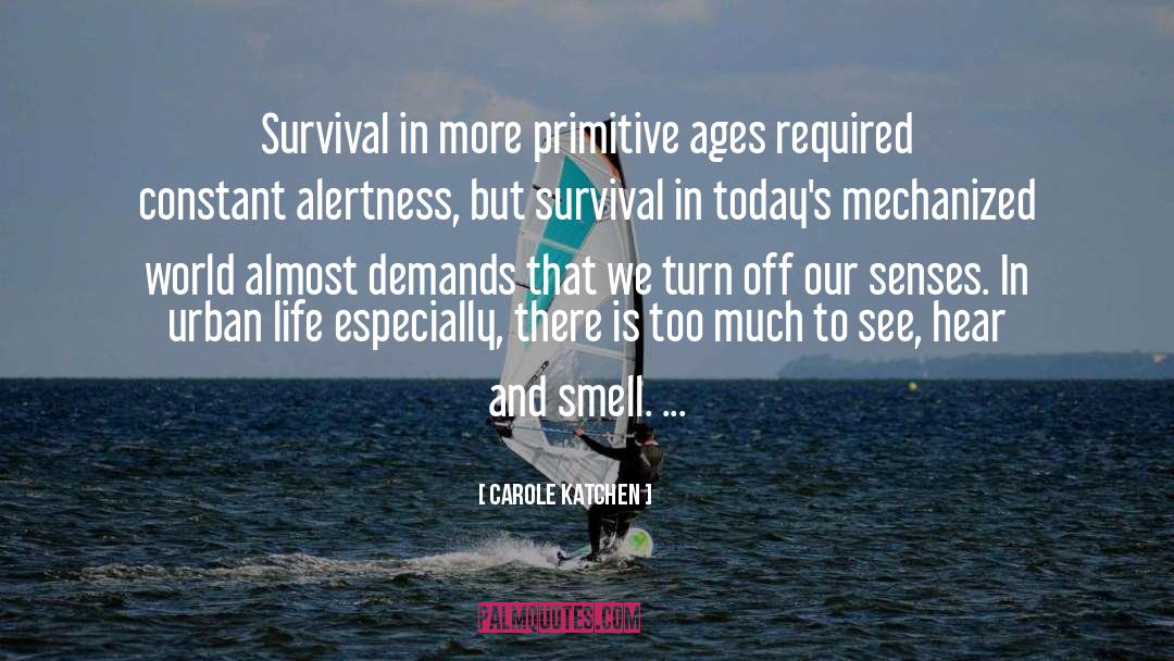 Alertness quotes by Carole Katchen