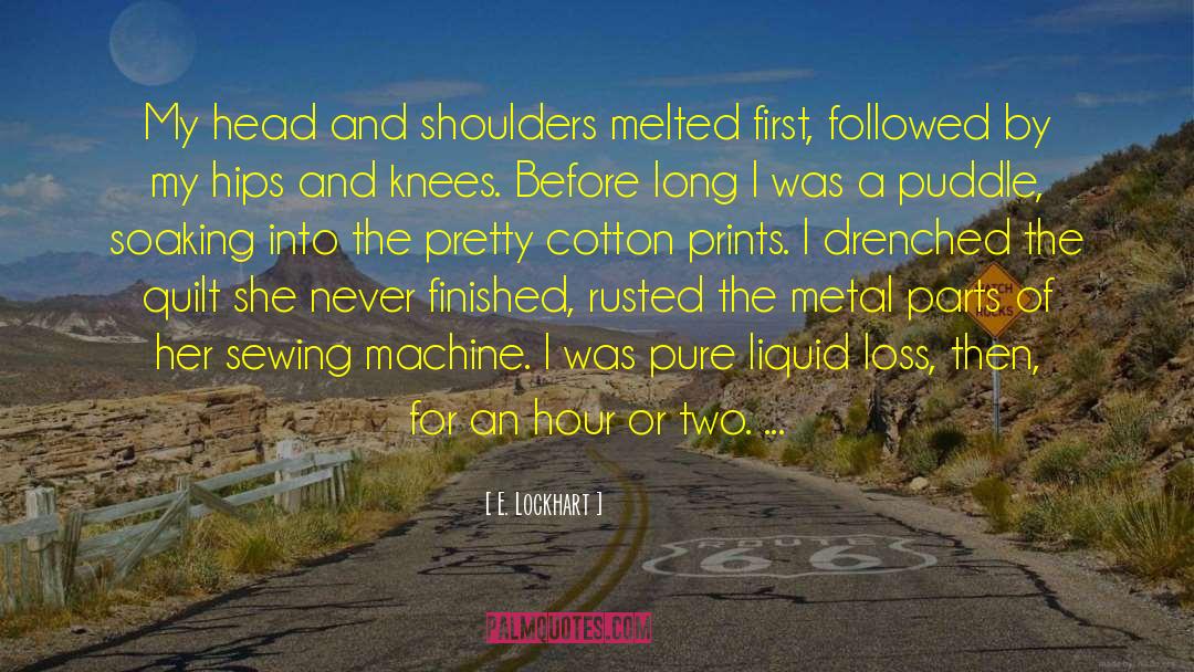 Alewives Quilt quotes by E. Lockhart