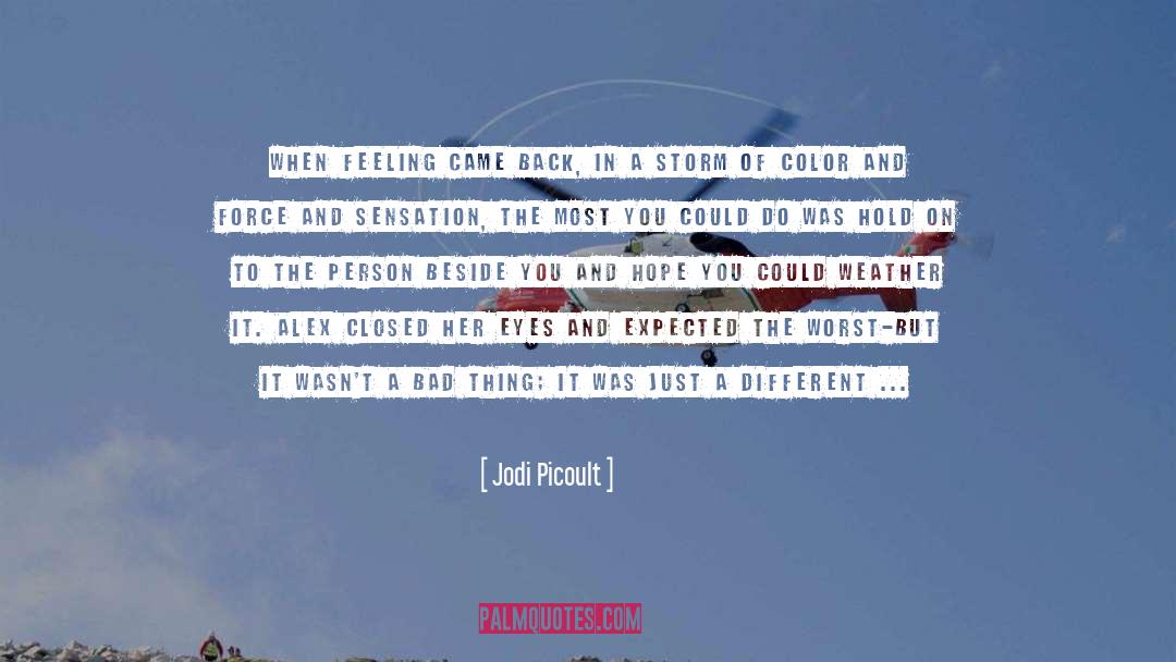 Alex Elle quotes by Jodi Picoult