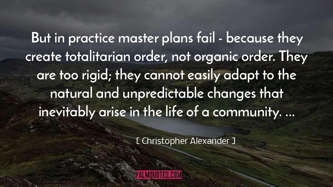 Alexander Roman quotes by Christopher Alexander