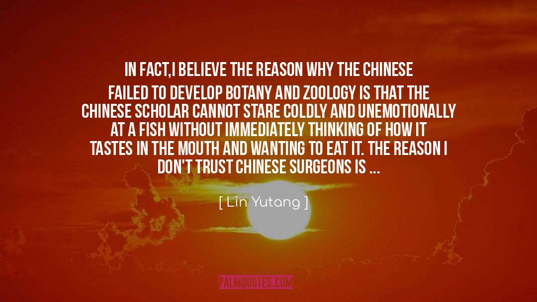 Alexandria Stone quotes by Lin Yutang