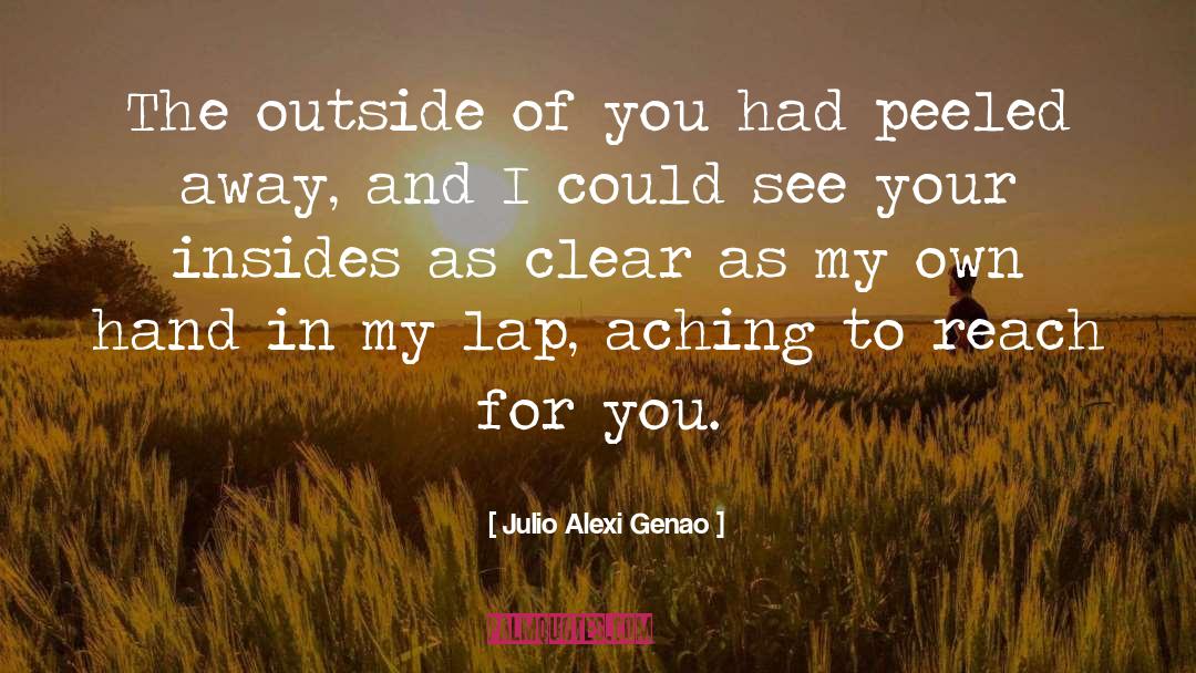 Alexi quotes by Julio Alexi Genao