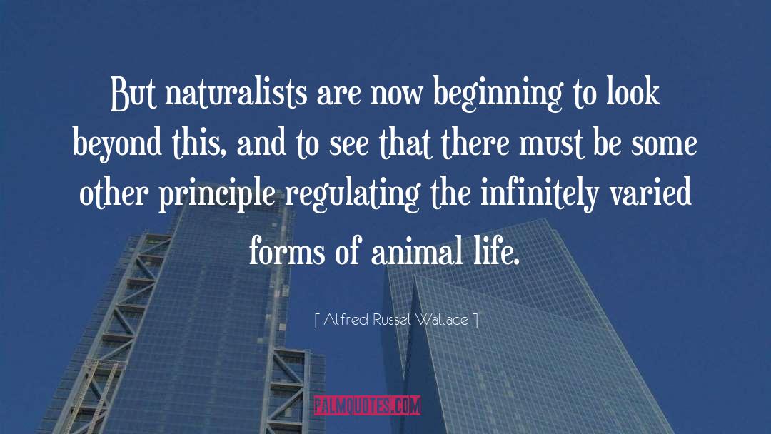 Alfred Russel Wallace quotes by Alfred Russel Wallace