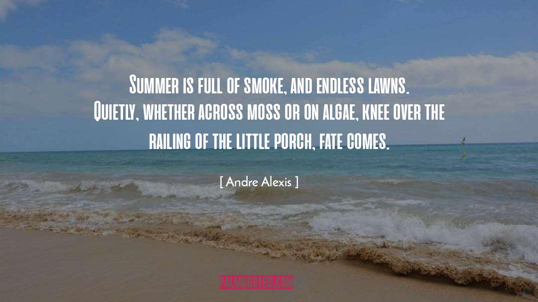 Algae quotes by Andre Alexis