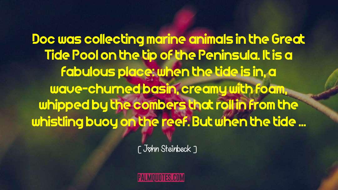 Algae quotes by John Steinbeck