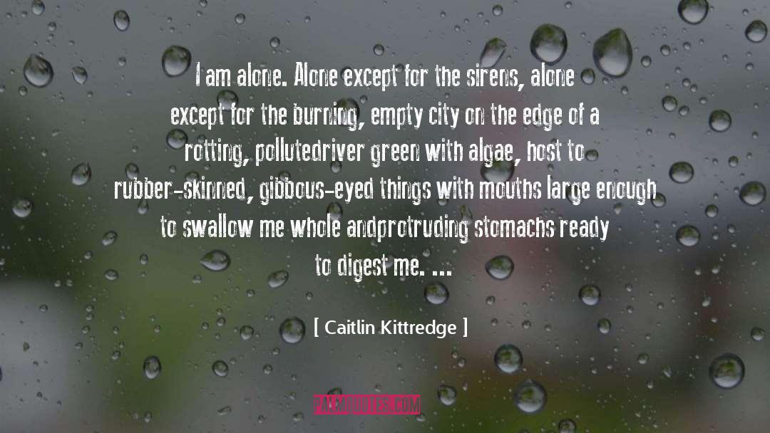 Algae quotes by Caitlin Kittredge